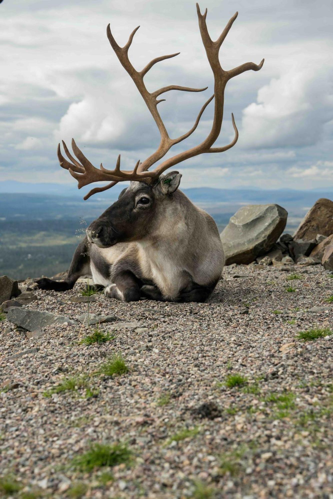 Nybyggd 8-Baeddars Skidstuga I Lofsdalen Dış mekan fotoğraf